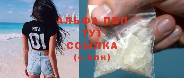 стаф Магас