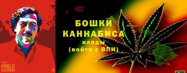 стаф Магас