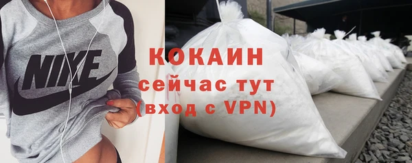стаф Магас