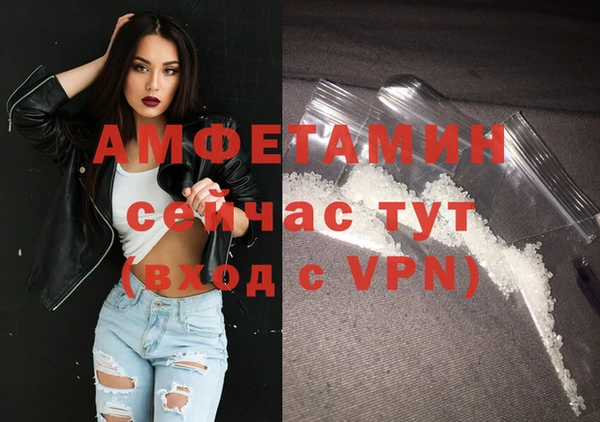 стаф Магас