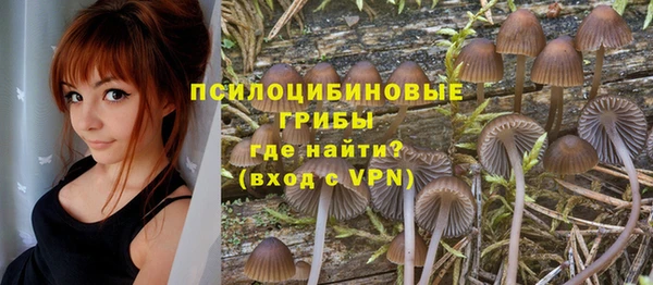 PSILOCYBIN Магадан