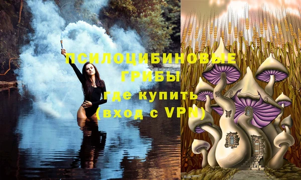 стаф Магас