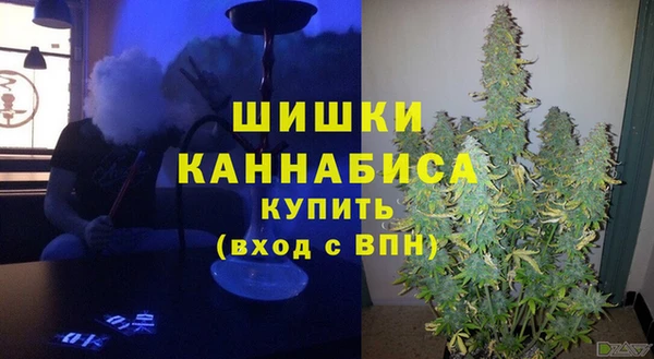 стаф Магас