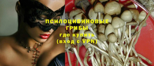 PSILOCYBIN Магадан