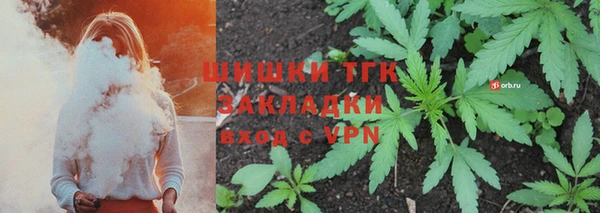 индика Аша