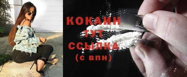 стаф Магас