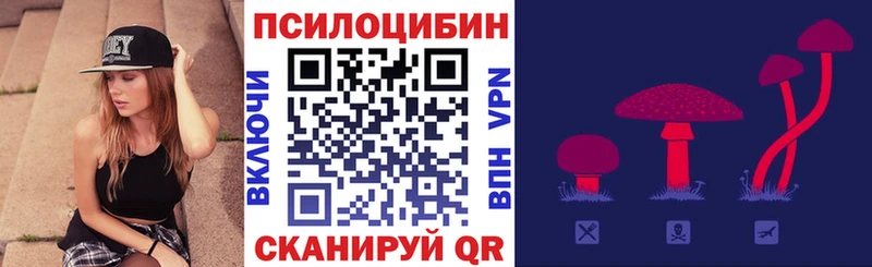 Галлюциногенные грибы прущие грибы  Новосибирск 