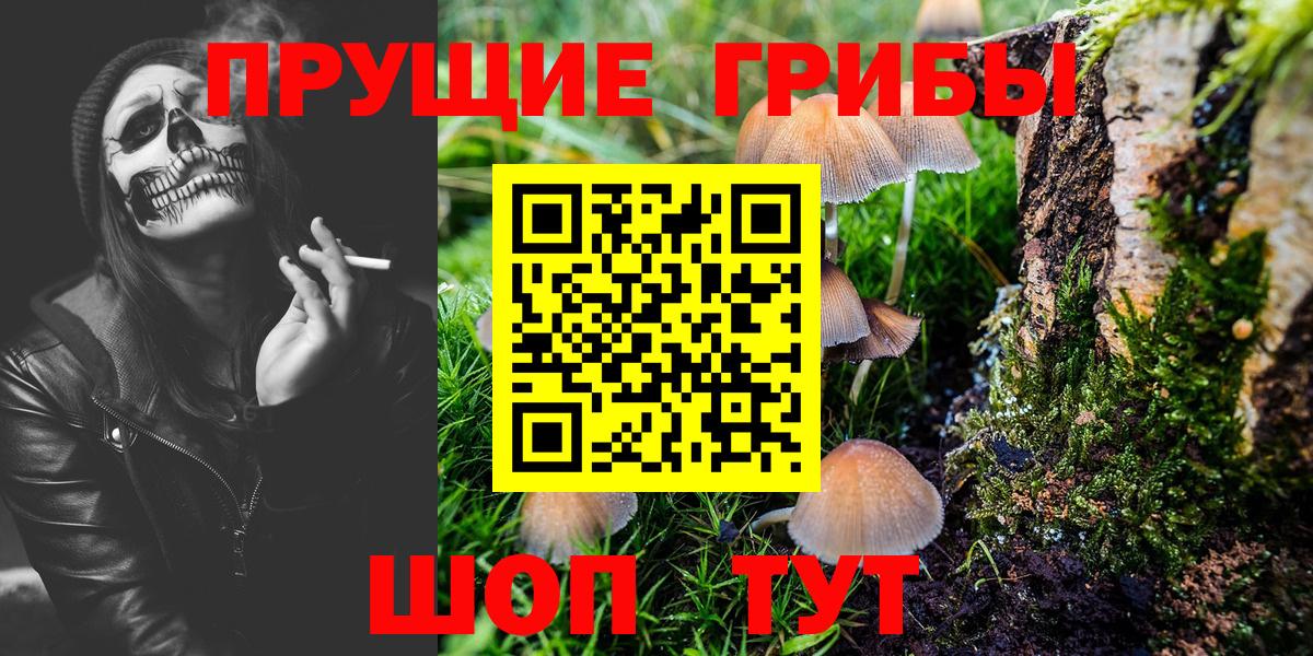 Псилоцибиновые грибы Magic Shrooms Новосибирск