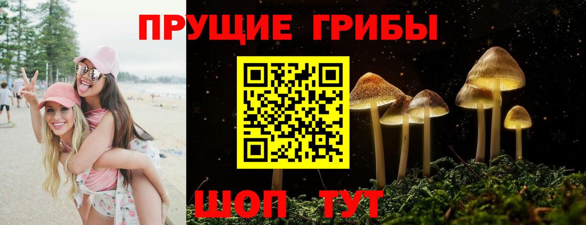 Псилоцибиновые грибы ЛСД  Псилоцибиновые грибы Magic Shrooms  Новосибирск  закладки  Вход с VPN 